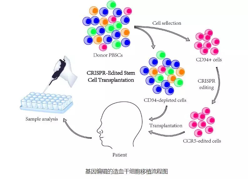 《自然》年度十大人物出炉!中国科学家入选