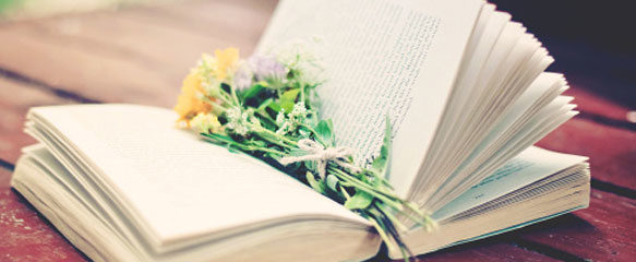 论文不拖到最后一刻,高效写作!