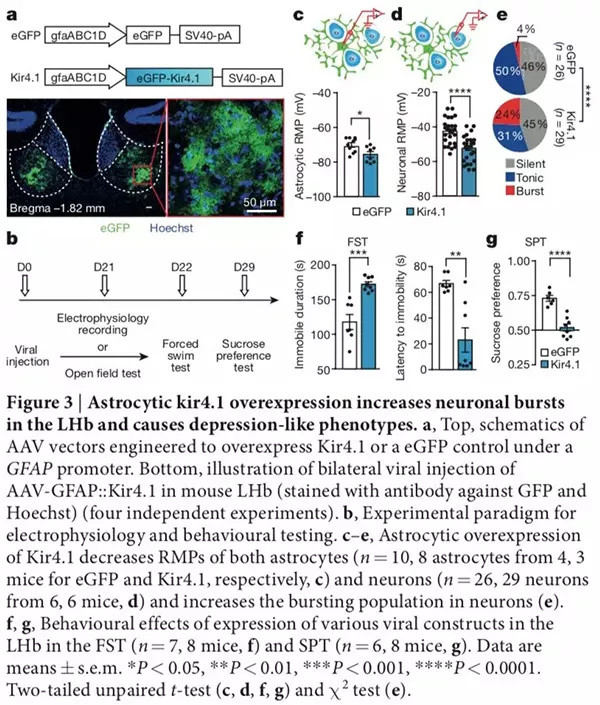 90后博士生拿下浙大最高奖学金