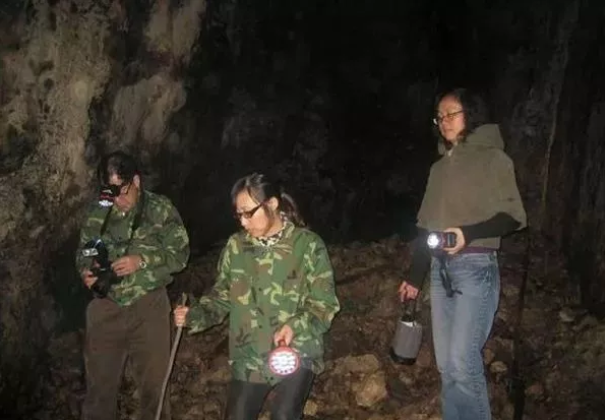 举报科研成果被剽窃并获省级科技奖 ！