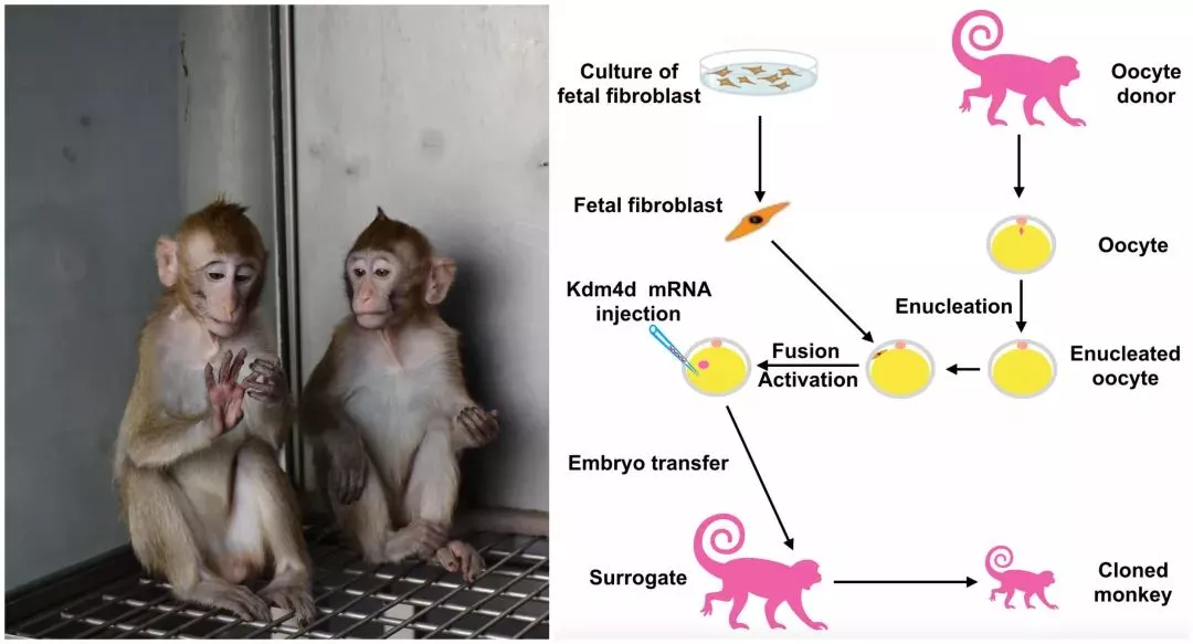 2018年度中国科学十大进展揭晓