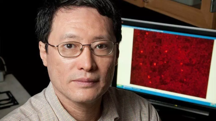 北大毕业华裔教授遭解雇