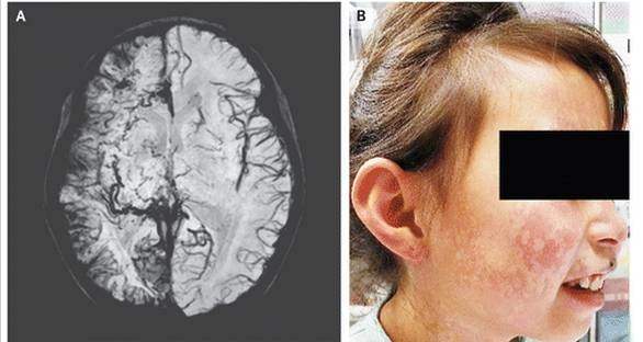 一张图+150字：顶级杂志的文章原来可以这么“水”