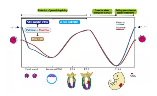 重磅 | 这个国家重大专项