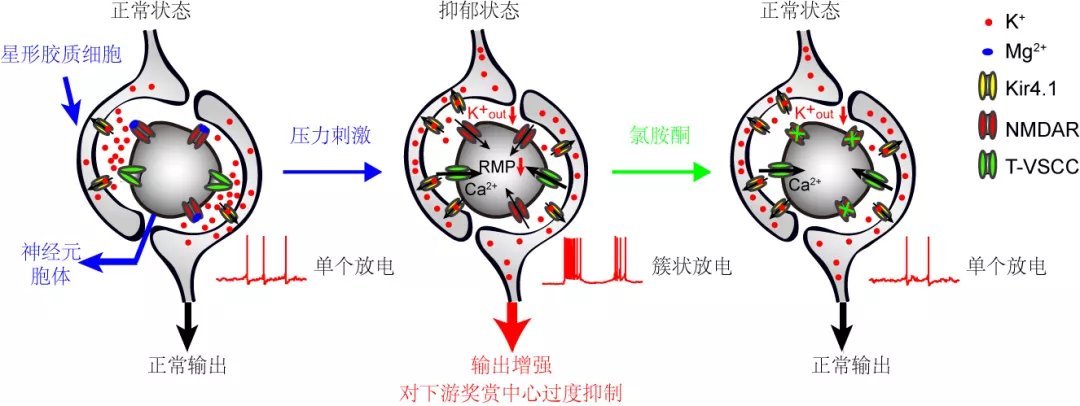 2018年度中国科学十大进展揭晓