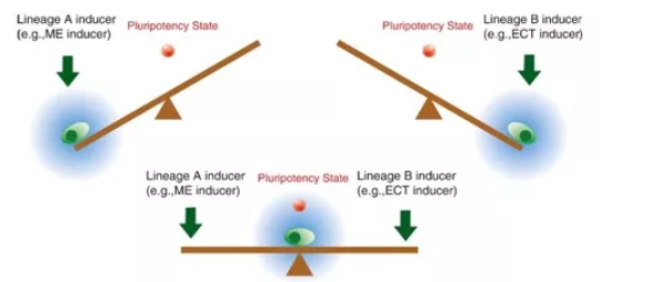 重磅 | 这个国家重大专项