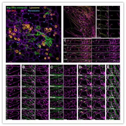 2018年度中国科学十大进展揭晓