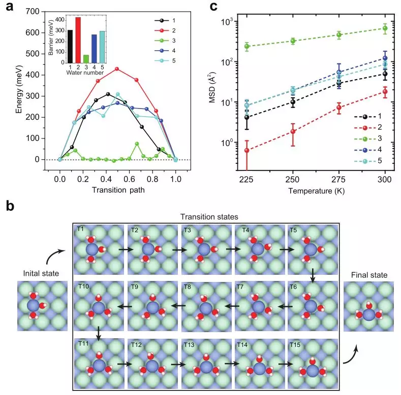 2018年度中国科学十大进展揭晓