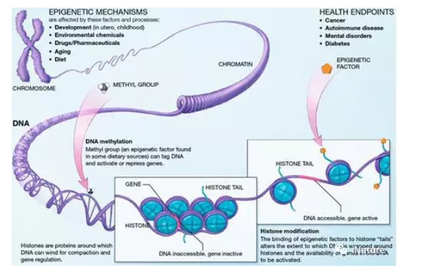 重磅 | 这个国家重大专项