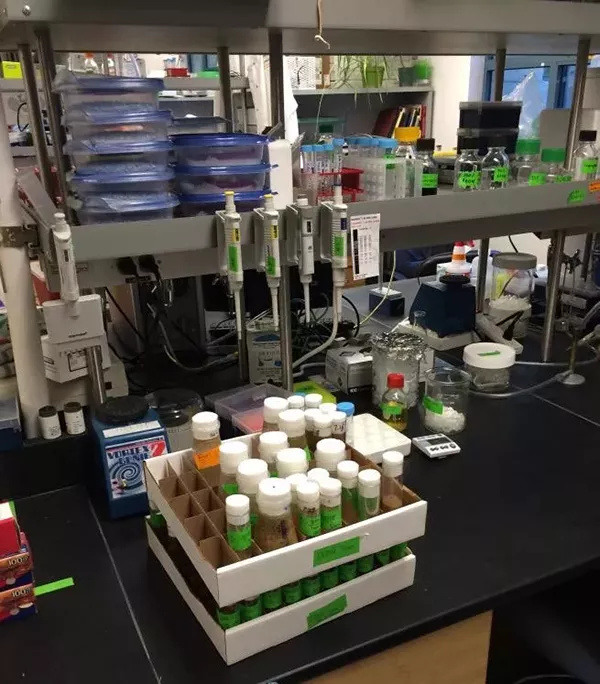 90后博士生拿下浙大最高奖学金